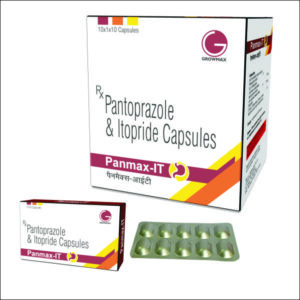 PANMAX-IT